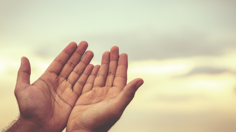 How Mindfulness Training is Revolutionizing Employee Well-Being and Organizational Culture