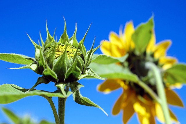 When the Impossible Knocks: Rising with Faith and Resolve